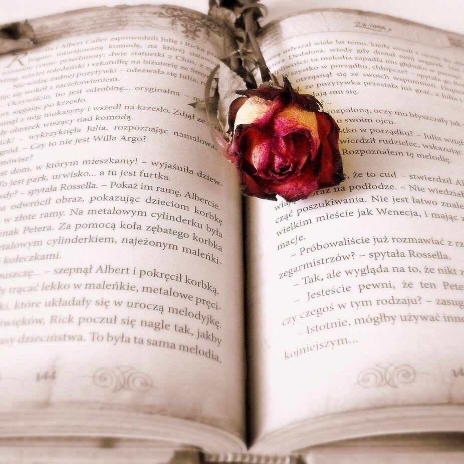 book, rose, book mark, open book, pages, chapter, novel, read, rose flower, literature, reading, bookworm